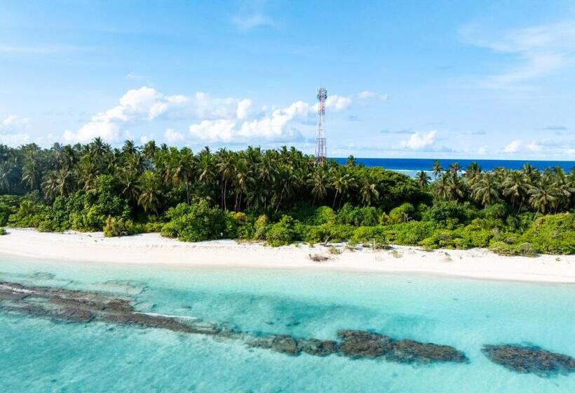 هتل Fushi Beach Guesthouse