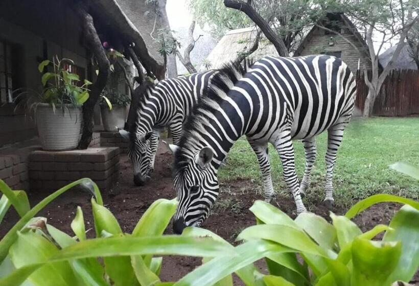 تختخواب و صبحانه Mispel House Self Catering Holiday Accommodation