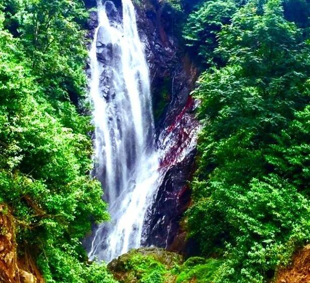 بنسيون Green Shade Resort & Haritha Sewana