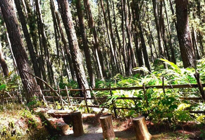 بنسيون Green Shade Resort & Haritha Sewana