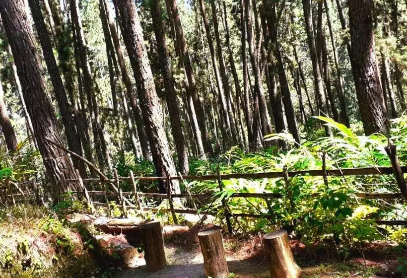 Majatalo Green Shade Resort & Haritha Sewana