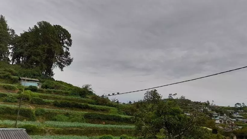 ペンション Happy Haven Nuwara Eliya