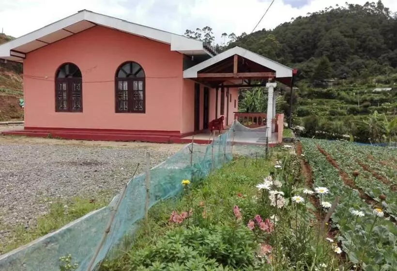 ペンション Happy Haven Nuwara Eliya