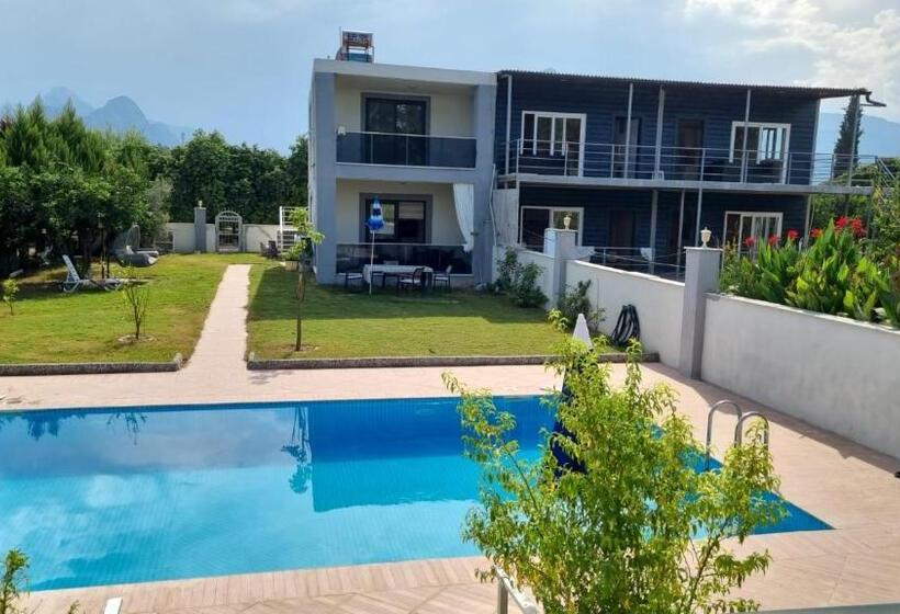 Bed and Breakfast Holistic Balance