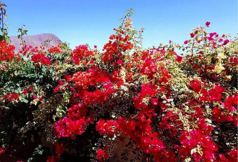 住宿加早餐  Ocean House