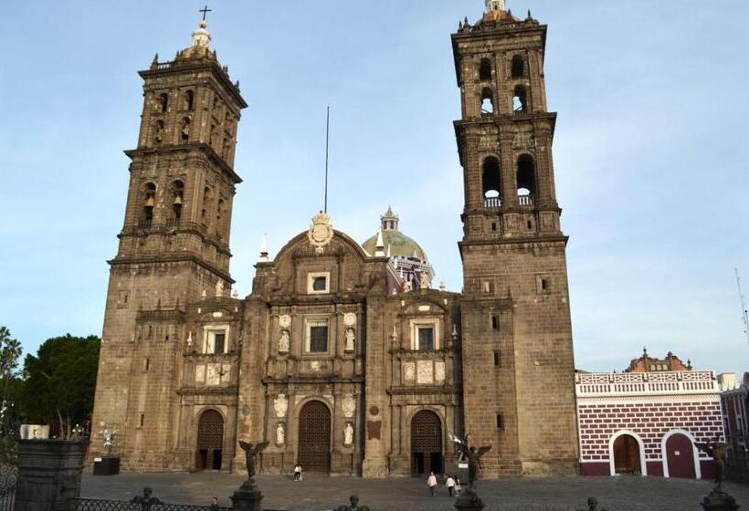 فندق Le Chat Noir By Rotamundos