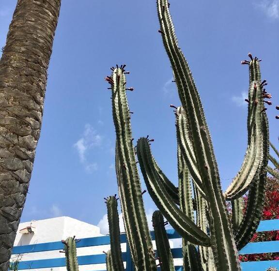 ペンション Casa Cactus