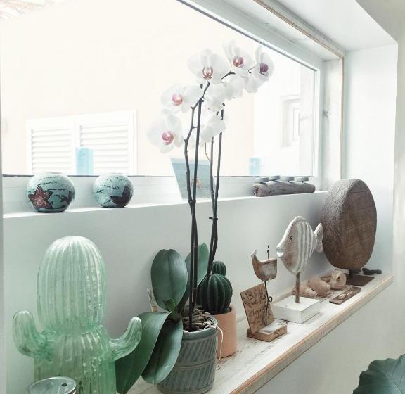 ペンション Casa Cactus