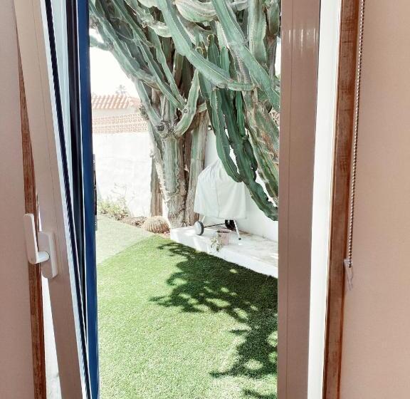 ペンション Casa Cactus