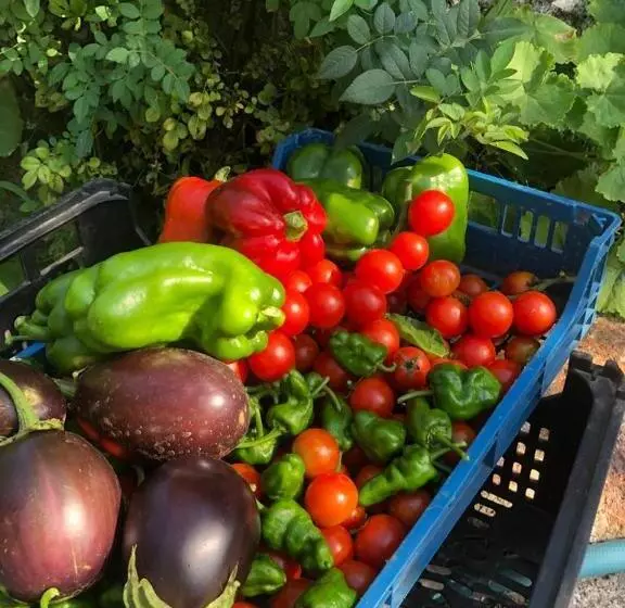 Majatalo Casa Da Costeira