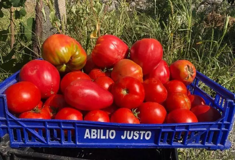 Majatalo Casa Da Costeira