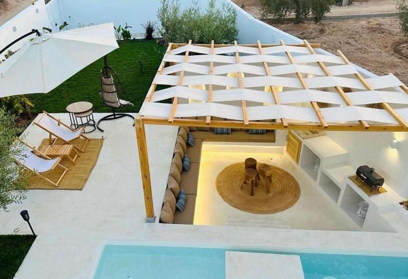 膳宿费 Dar Oliva Maison De Luxe