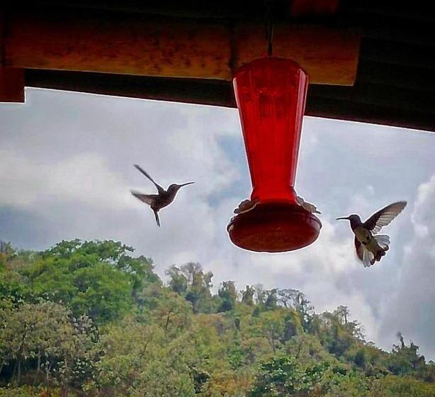 پانسیون Hostel La Castilla