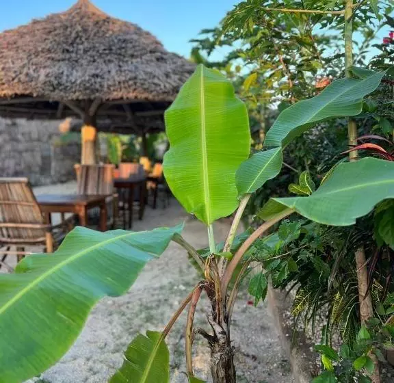 Majatalo Mbuyuni Lodge Nungwi