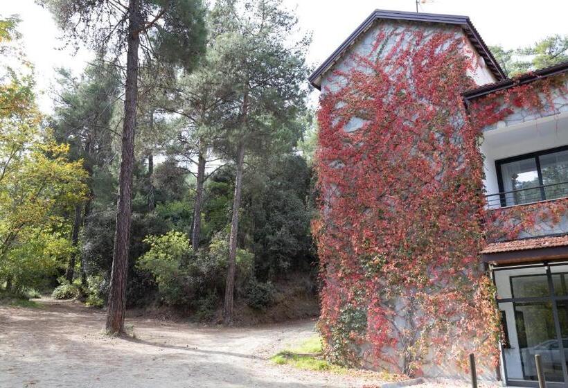 Albergue Rifugio Retreat Bed&breakfast