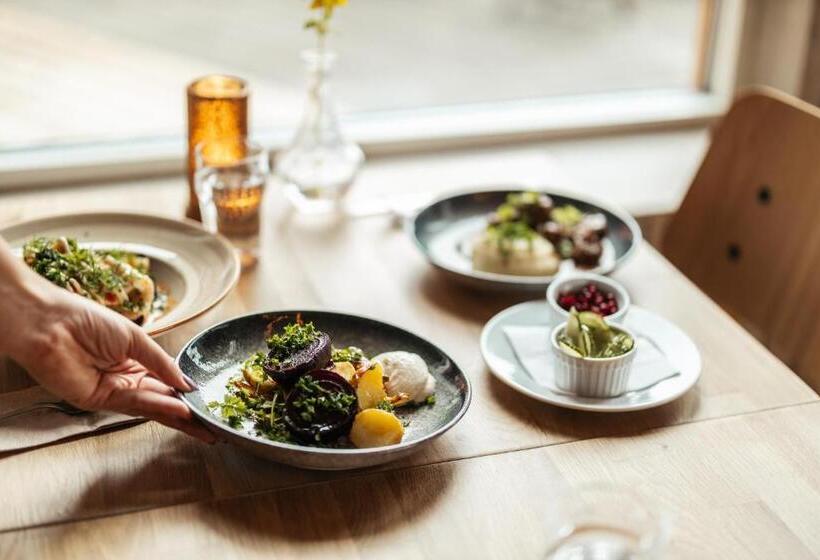 בית מלון כפרי Barken Lodge