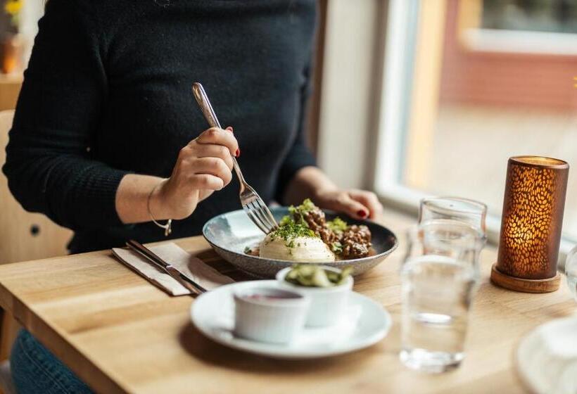 בית מלון כפרי Barken Lodge