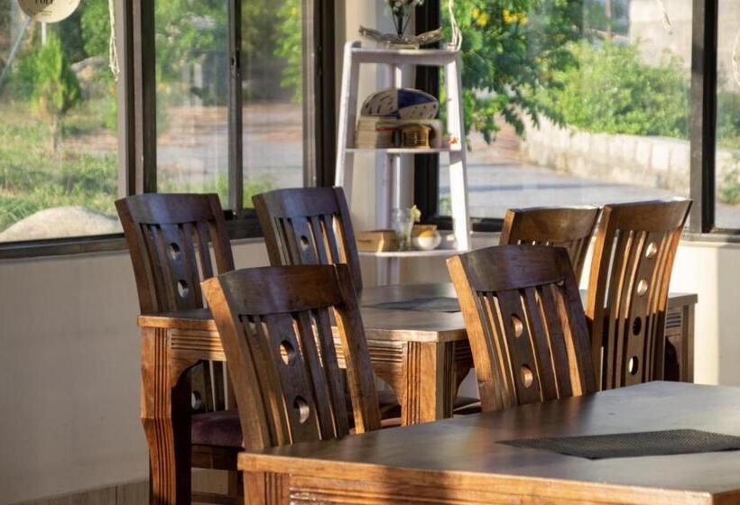 فندق Dhauladhar View Village Resort