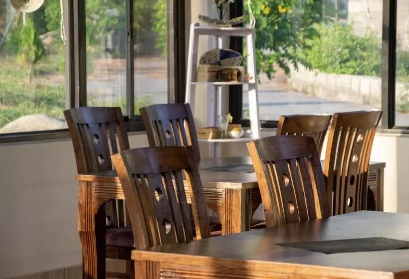 Hotelli Dhauladhar View Village Resort