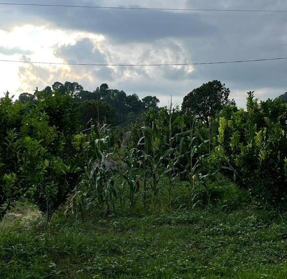 فندق Dhauladhar View Village Resort