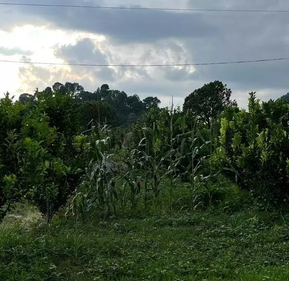 Hotelli Dhauladhar View Village Resort