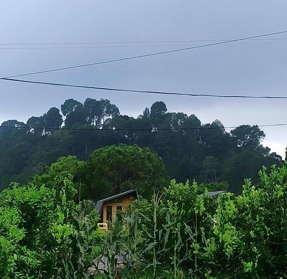 فندق Dhauladhar View Village Resort