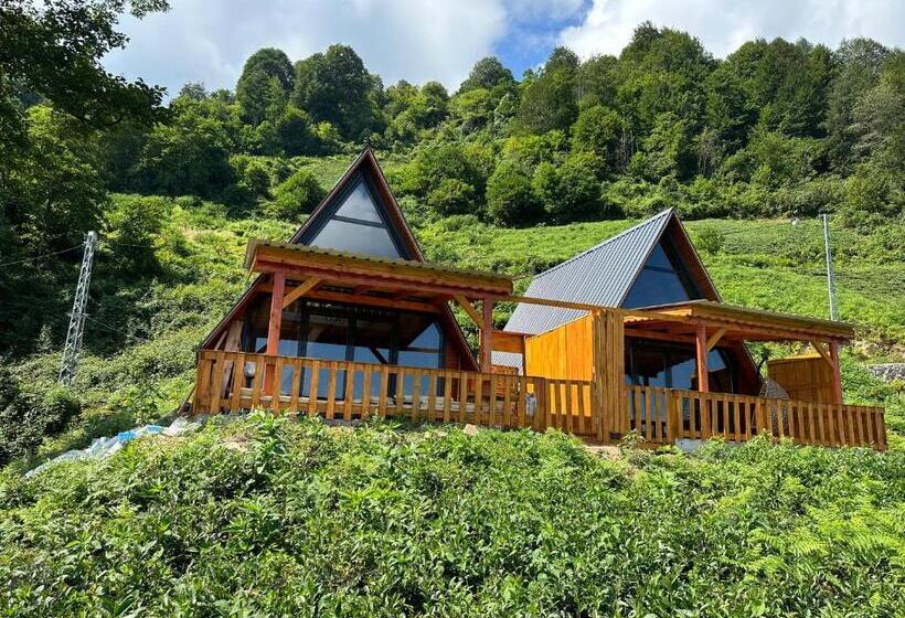 Kalivi Suit Bungalov 2