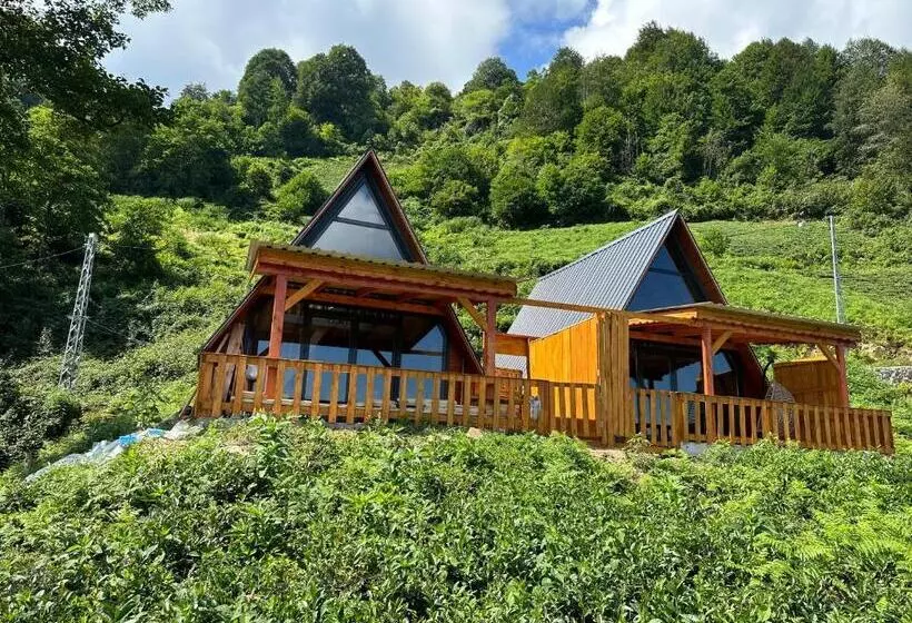 Kalivi Suit Bungalov   2