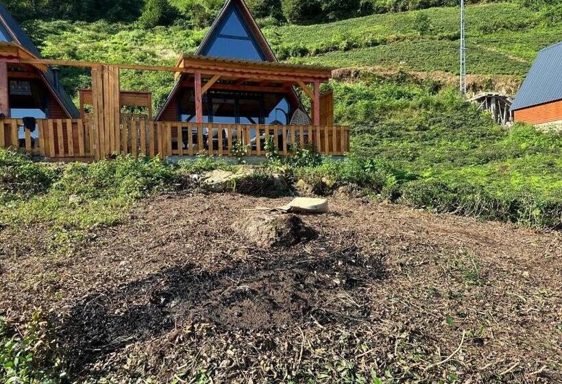 Kalivi Suit Bungalov 2