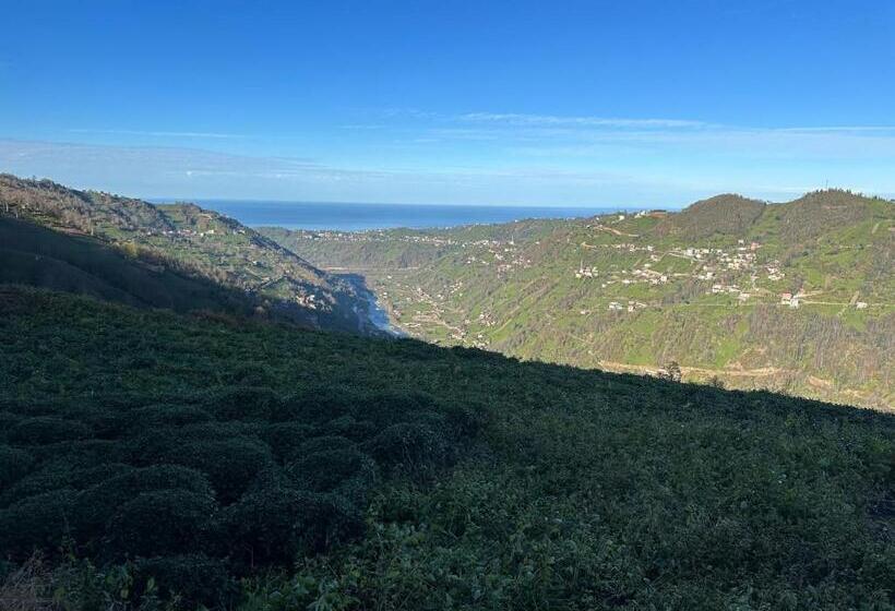 Kalivi Suit Bungalov 2