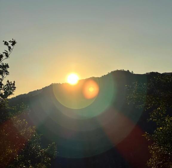 Kalivi Suit Bungalov 2