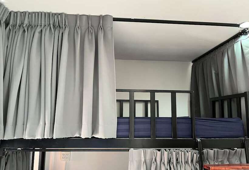 Alpha Hostel Cafe&bar