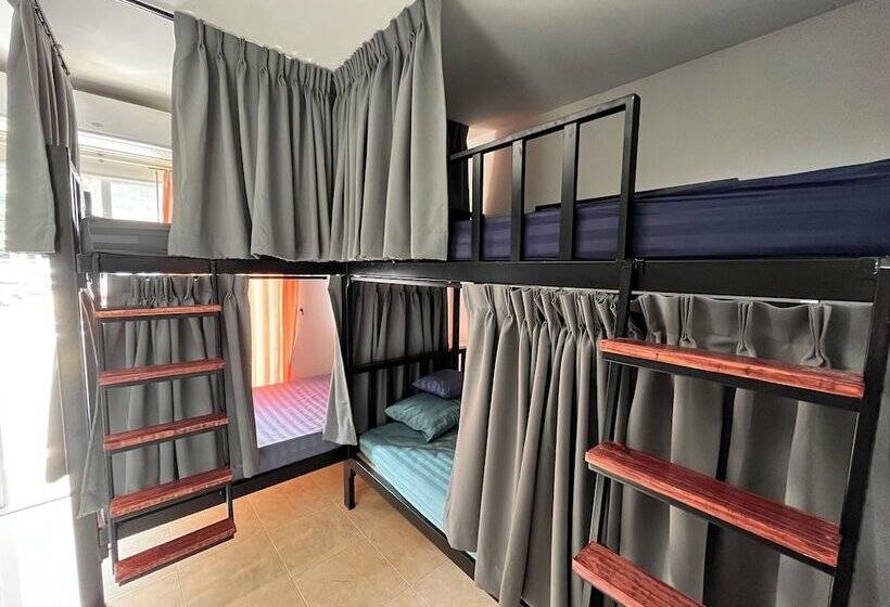 Alpha Hostel Cafe&bar