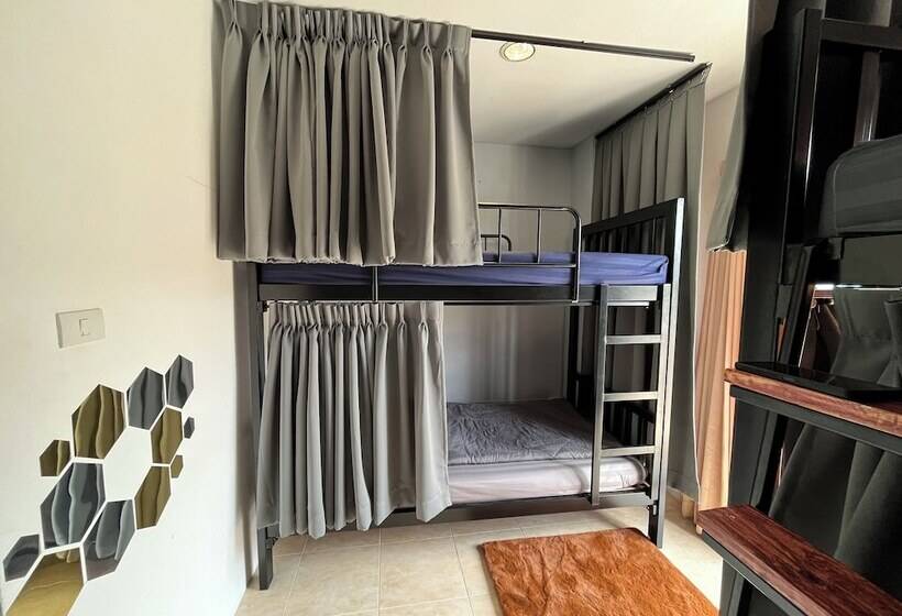 Alpha Hostel Cafe&bar