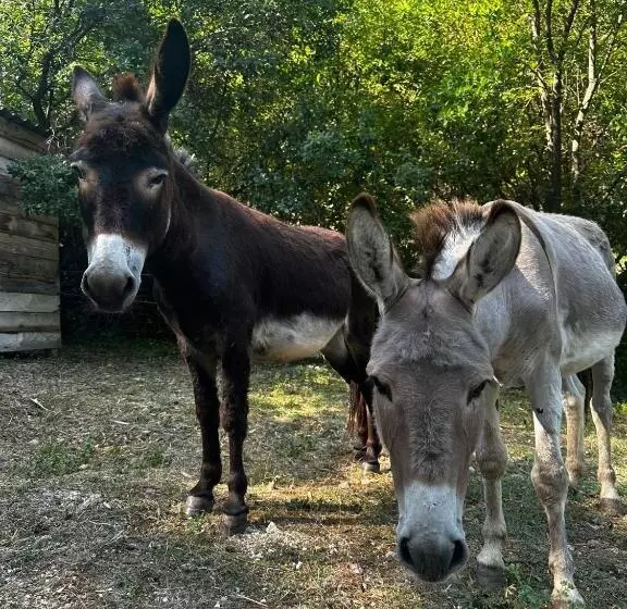 B&b Les Têtes De Mules   Adults Only