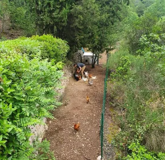 B&b Les Têtes De Mules   Adults Only