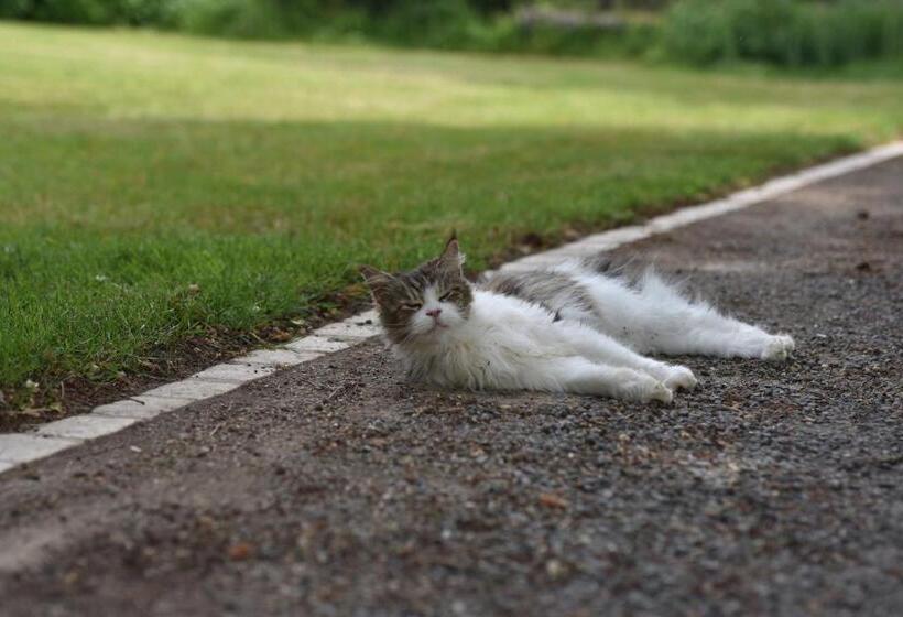 민박 Un Jardin Et Trois Maisons