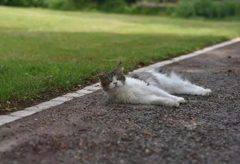 Aamiaismajoitus (B&B) Un Jardin Et Trois Maisons