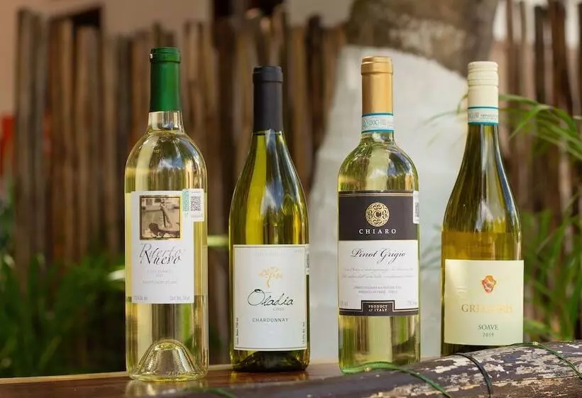 ホテル Ito El Cuyo