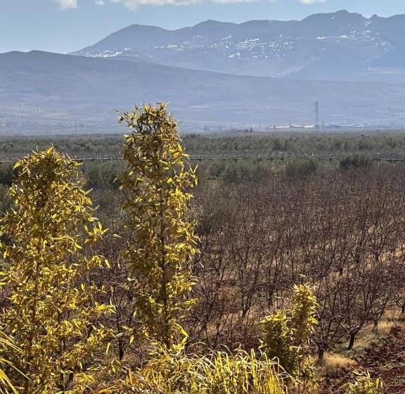 پانسیون Ayor Fes