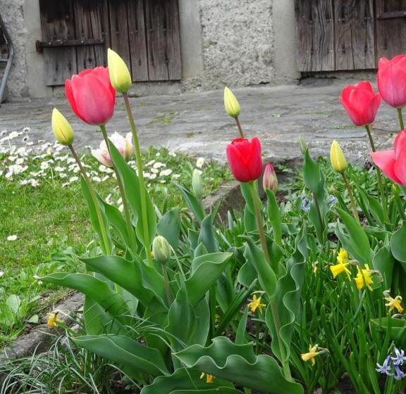 Bed and Breakfast Bnb Cà Di Sciavatin