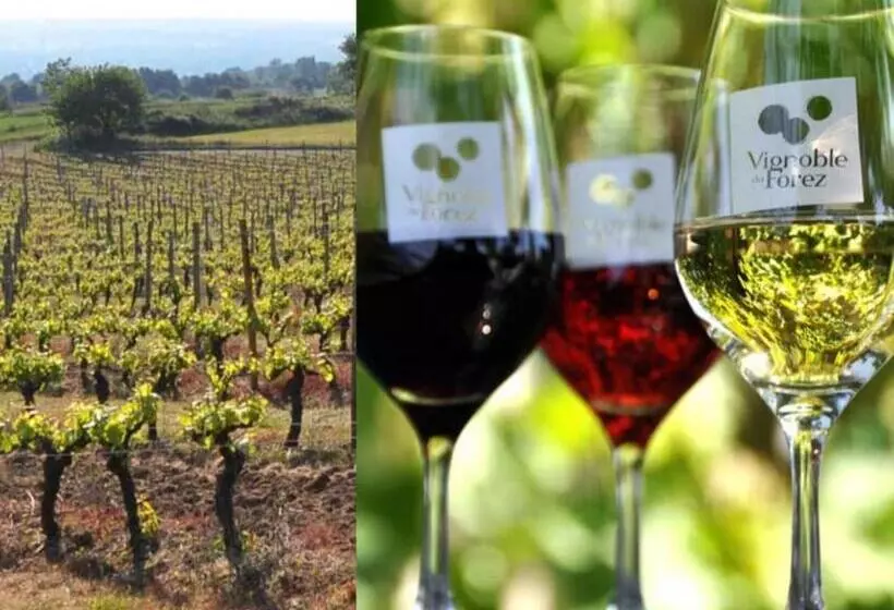 Aamiaismajoitus (B&B) Plaisir Des Sens