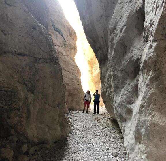 住宿加早餐  Villa Carolina