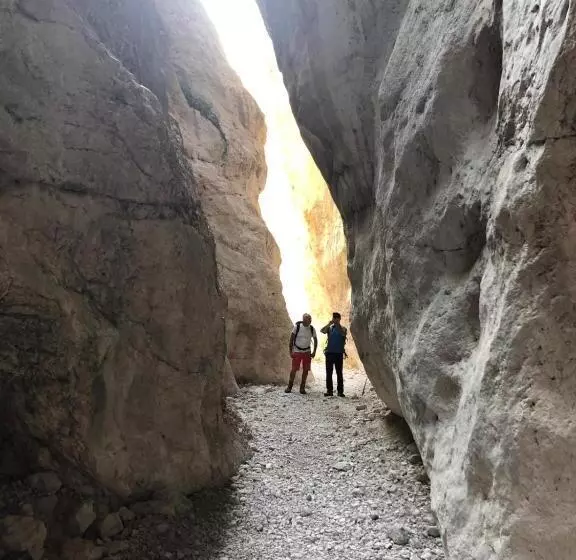 Aamiaismajoitus (B&B) Villa Carolina