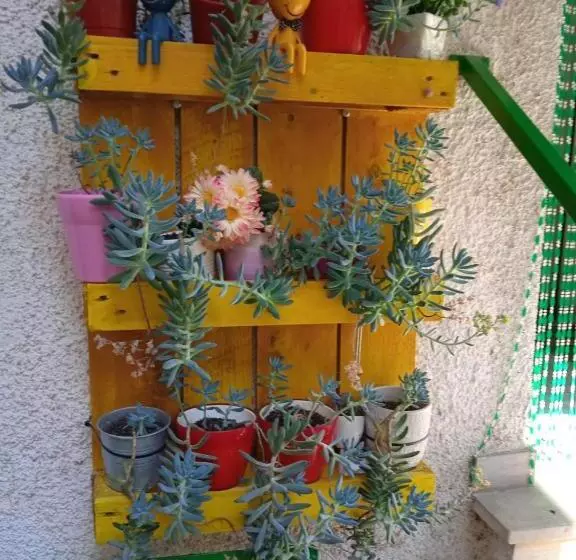 Aamiaismajoitus (B&B) Villa Carolina