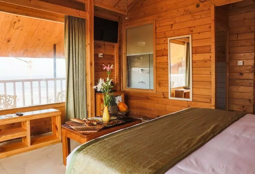 Dallas Beach Resorts