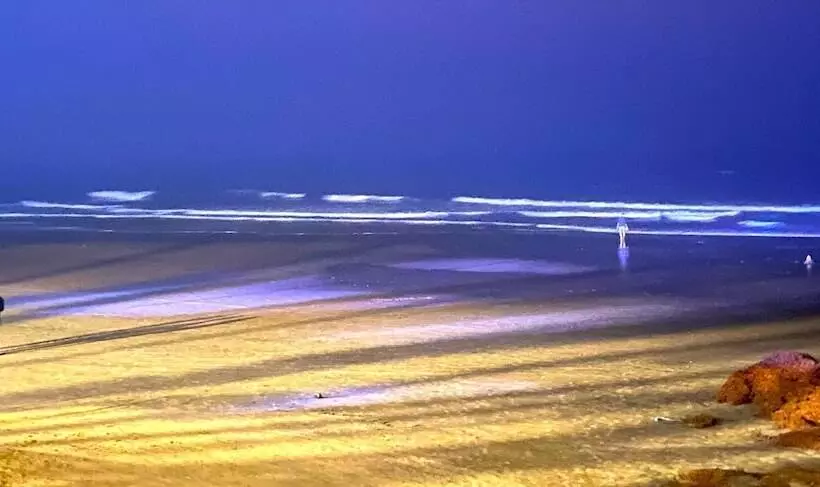 Dallas Beach Resorts