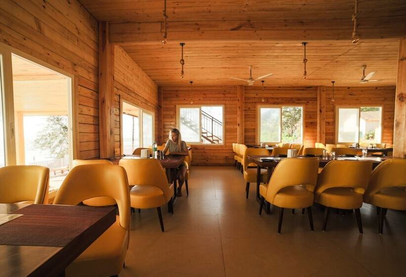 Dallas Beach Resorts