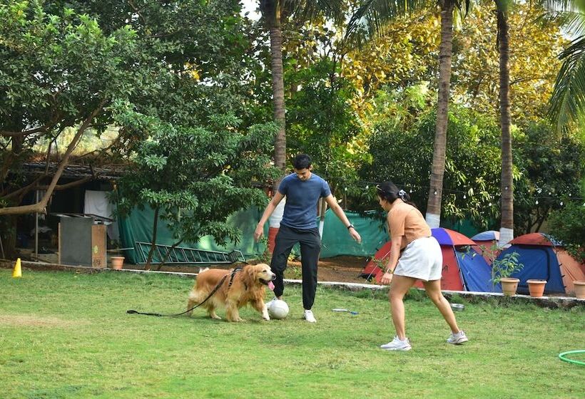 Хостел Tents N' Trails