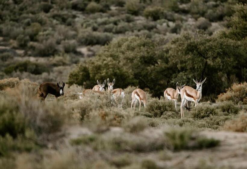 فندق Breathe Accommodation